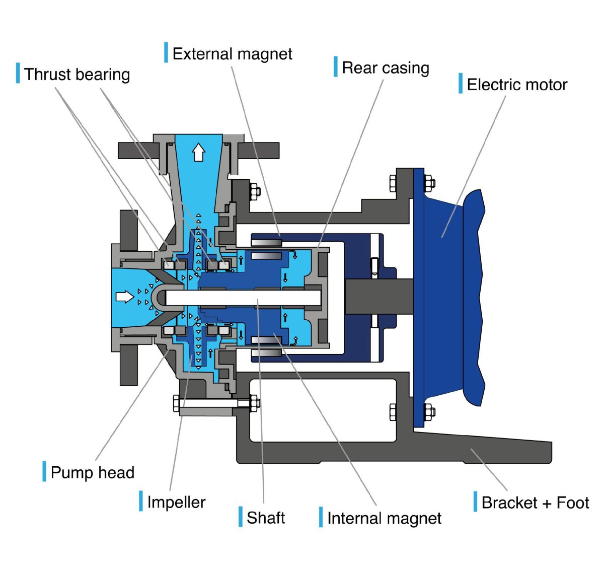 Cross section of a magnetic driven pump showing the impeller, internal and external magnets, containment shell and motor